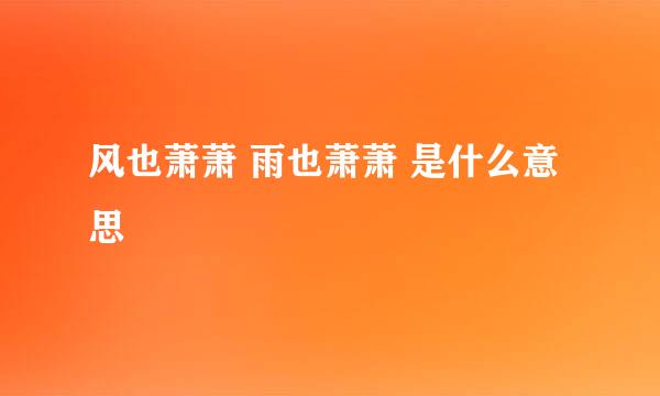 风也萧萧 雨也萧萧 是什么意思