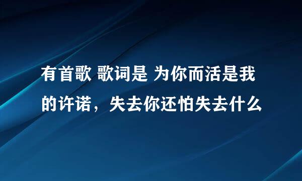 有首歌 歌词是 为你而活是我的许诺，失去你还怕失去什么