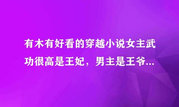 有木有好看的穿越小说女主武功很高是王妃，男主是王爷（对皇位没兴趣),两人喜欢斗嘴，结局喜，一对一，