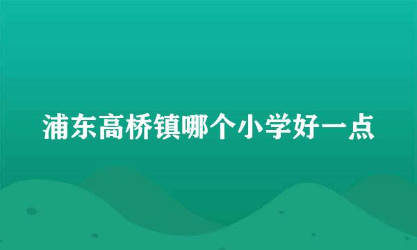 浦东高桥镇哪个小学好一点