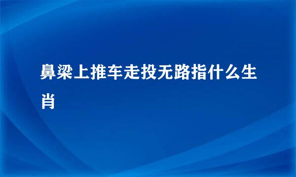 鼻梁上推车走投无路指什么生肖