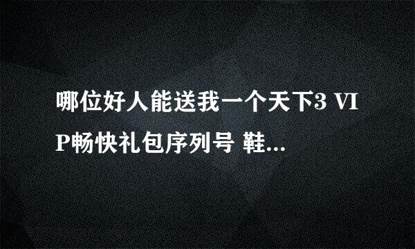 哪位好人能送我一个天下3 VIP畅快礼包序列号 鞋底不胜感激！！