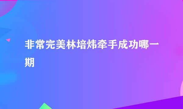 非常完美林培炜牵手成功哪一期