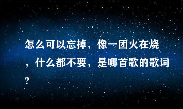 怎么可以忘掉，像一团火在烧，什么都不要，是哪首歌的歌词?