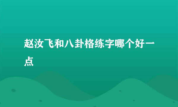 赵汝飞和八卦格练字哪个好一点