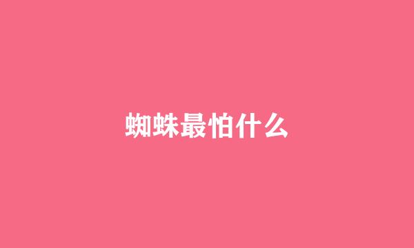 蜘蛛最怕什么