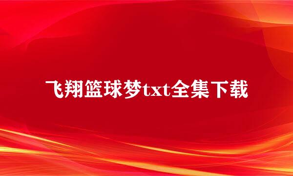 飞翔篮球梦txt全集下载