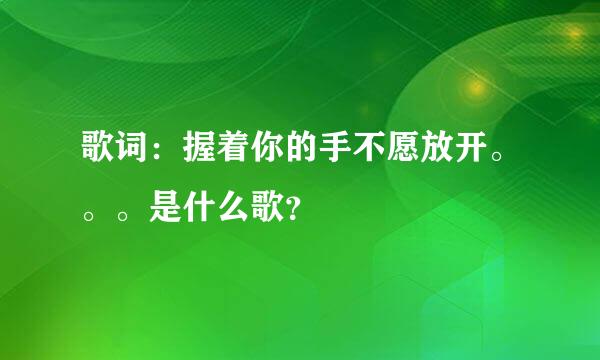 歌词：握着你的手不愿放开。。。是什么歌？