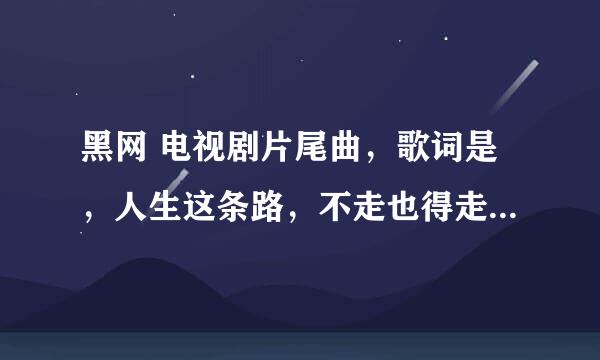 黑网 电视剧片尾曲，歌词是，人生这条路，不走也得走～～～～