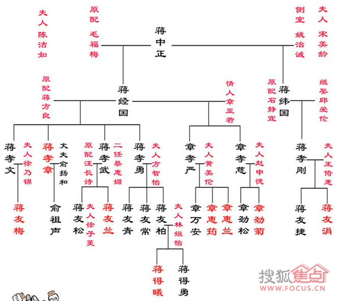 家谱图的如何绘制家谱图