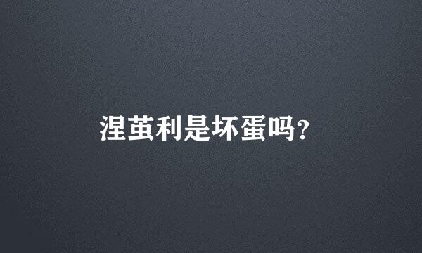 涅茧利是坏蛋吗？