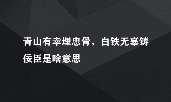 青山有幸埋忠骨，白铁无辜铸佞臣是啥意思