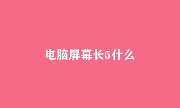 电脑屏幕长5什么