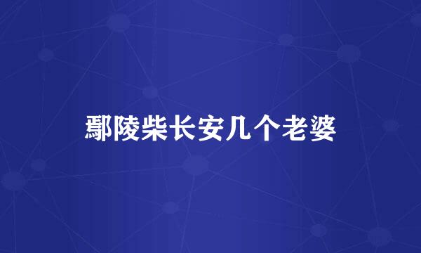 鄢陵柴长安几个老婆