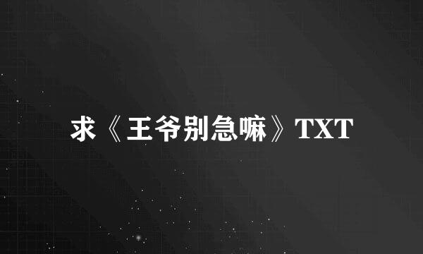 求《王爷别急嘛》TXT