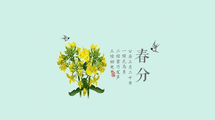 春分的分是什么意思