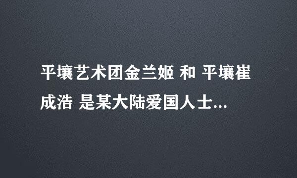 平壤艺术团金兰姬 和 平壤崔成浩 是某大陆爱国人士的高级黑么???