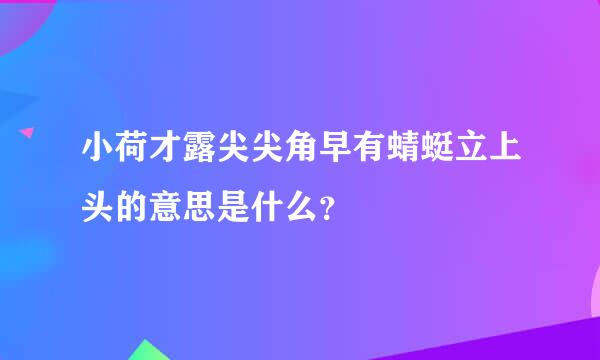 小荷才露尖尖角早有蜻蜓立上头的意思是什么？