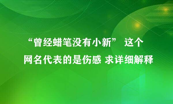 “曾经蜡笔没有小新” 这个网名代表的是伤感 求详细解释