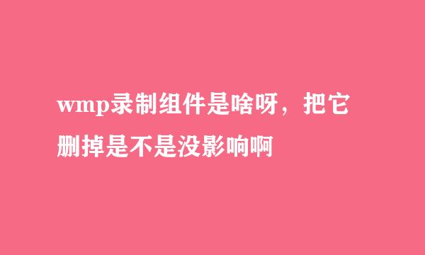 wmp录制组件是啥呀，把它删掉是不是没影响啊