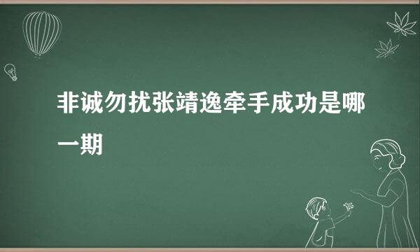 非诚勿扰张靖逸牵手成功是哪一期