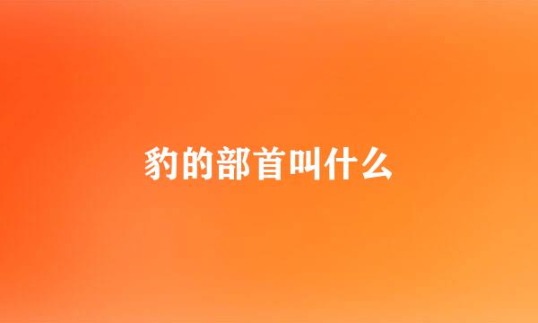 豹的部首叫什么