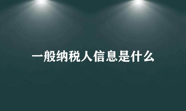 一般纳税人信息是什么