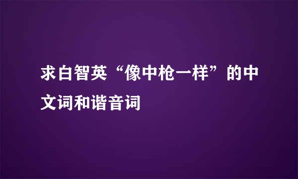 求白智英“像中枪一样”的中文词和谐音词