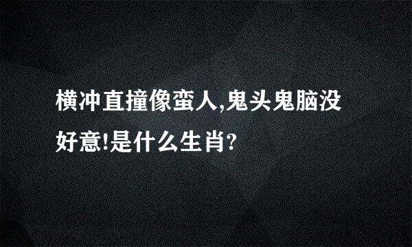 横冲直撞像蛮人,鬼头鬼脑没好意!是什么生肖?