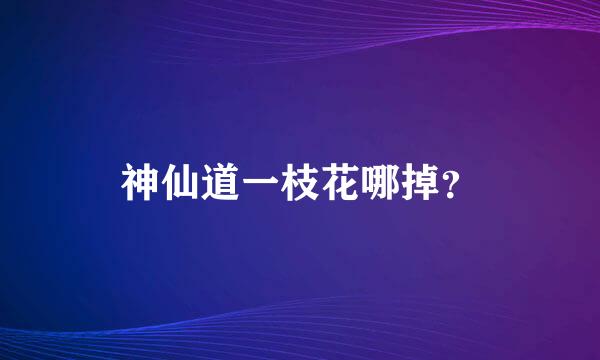 神仙道一枝花哪掉？