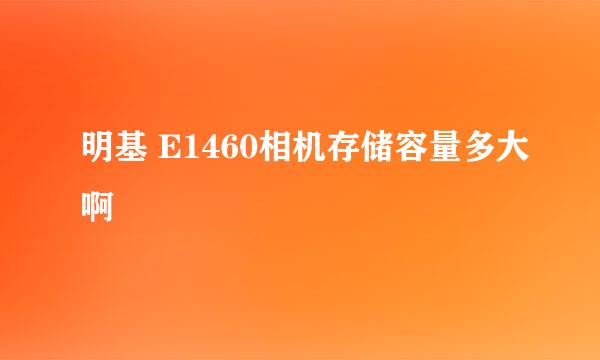 明基 E1460相机存储容量多大啊