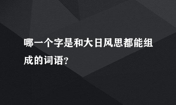 哪一个字是和大日风思都能组成的词语？