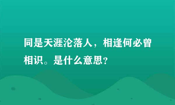 同是天涯沦落人，相逢何必曾相识。是什么意思？