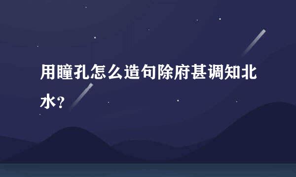 用瞳孔怎么造句除府甚调知北水？