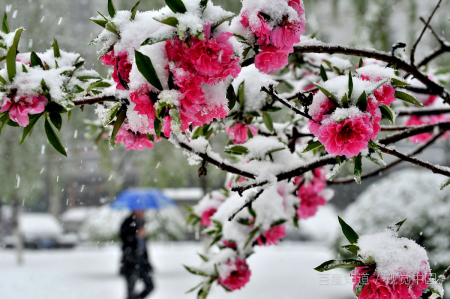 春观百花冬观雪，醒亦念卿，梦亦念卿； 什么意思呀？