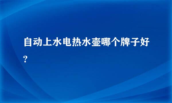 自动上水电热水壶哪个牌子好?