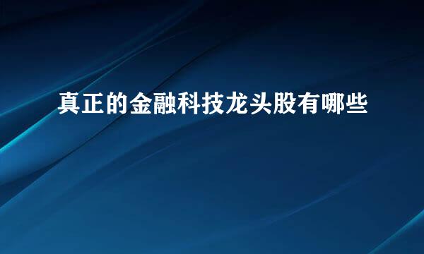 真正的金融科技龙头股有哪些