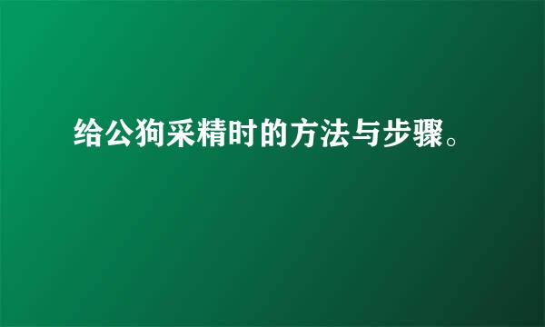 给公狗采精时的方法与步骤。