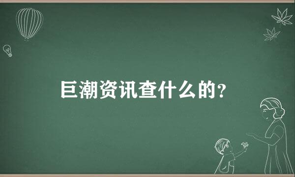 巨潮资讯查什么的？