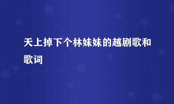 天上掉下个林妹妹的越剧歌和歌词