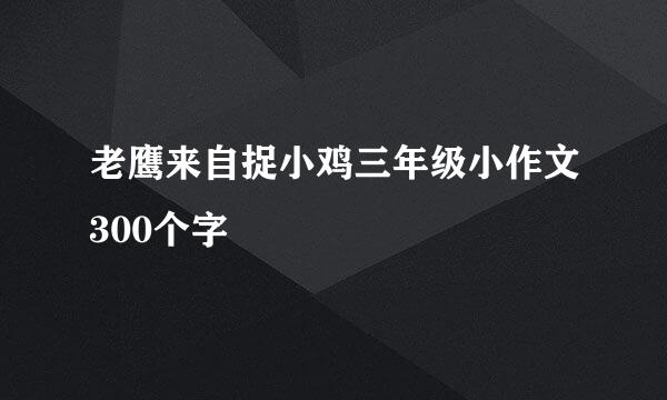 老鹰来自捉小鸡三年级小作文300个字