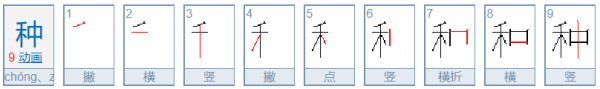 种的笔顺来自？