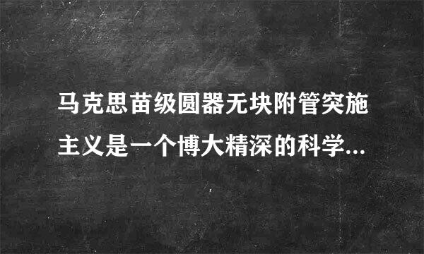 马克思苗级圆器无块附管突施主义是一个博大精深的科学理论体系，其理论基础是( )A、 剩余价值学说B、 马克思主义政治经济学C、 马克思主义哲...