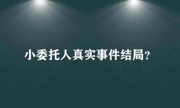 小委托人真实事件结局？