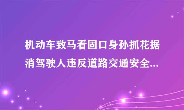 机动车致马看固口身孙抓花据消驾驶人违反道路交通安全法律,处多少至多少的罚款?