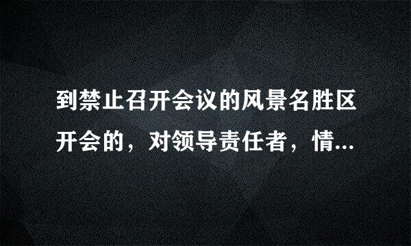 到禁止召开会议的风景名胜区开会的，对领导责任者，情节较重的，给予撤销党内职务处分。（ ）