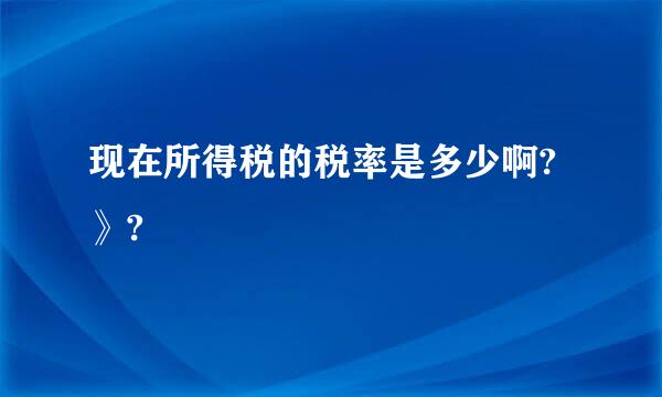 现在所得税的税率是多少啊?》?