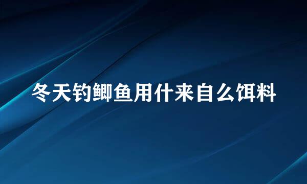 冬天钓鲫鱼用什来自么饵料