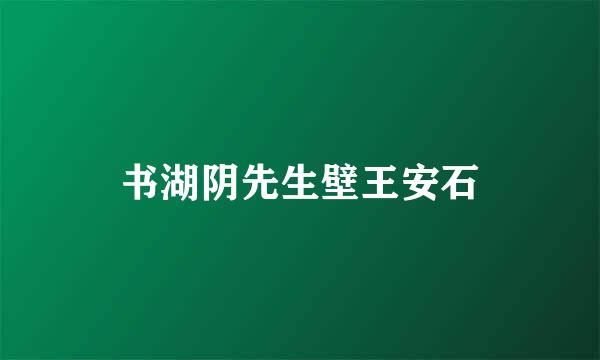 书湖阴先生壁王安石