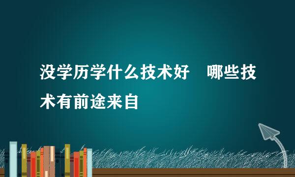 没学历学什么技术好 哪些技术有前途来自